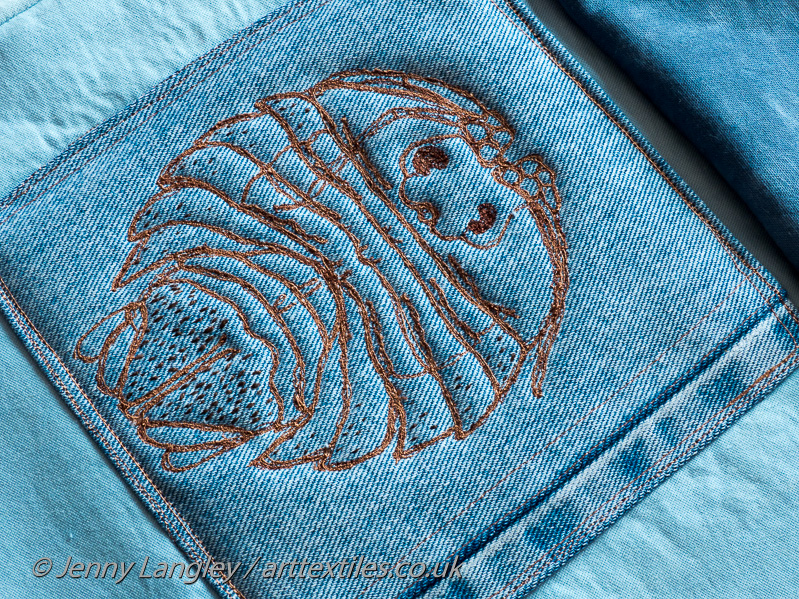 Serolid isopod in a different orientation.