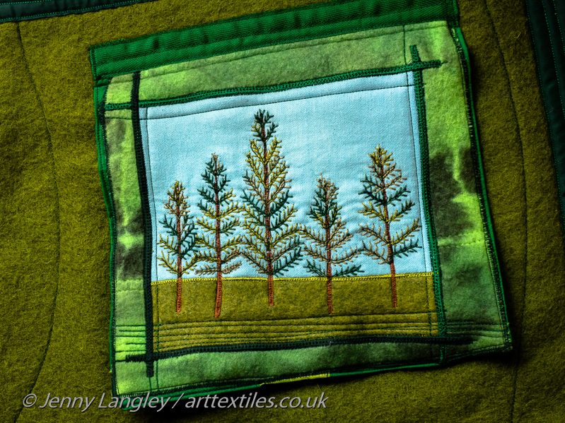 A healthy boreal forest.